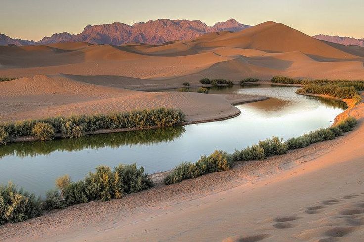 تالاب پساب یزد | مشخصات + جاهای دیدنی اطراف آن