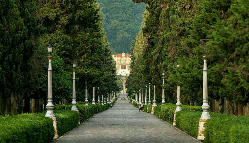 کشف زیبایی‌های پنهان پارک قیطریه تهران با ایران چارتر